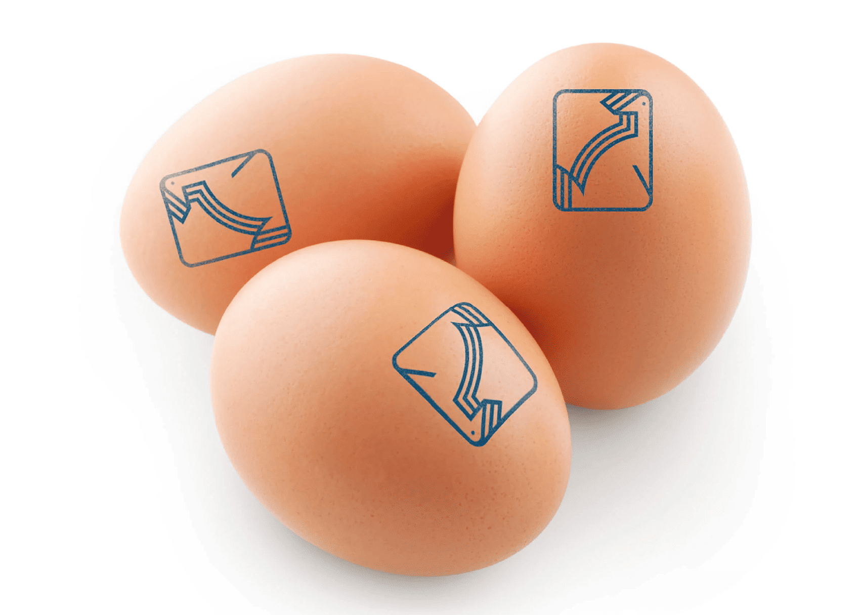 Cinco detalles del huevo